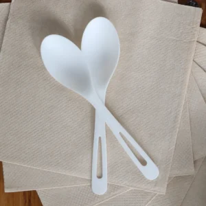 Compostable Heavy Weight Spoon Pla Ivory 500/case)