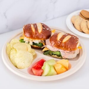 10" Plate Round Bagasse 3-compartment 500/case)